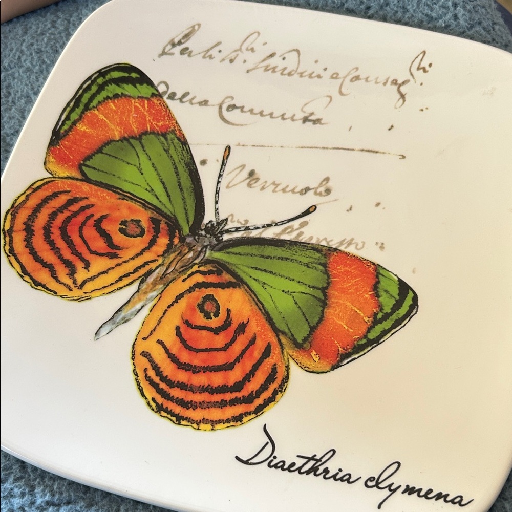 Butterfly Design Square Plate - Picture 4 of 5